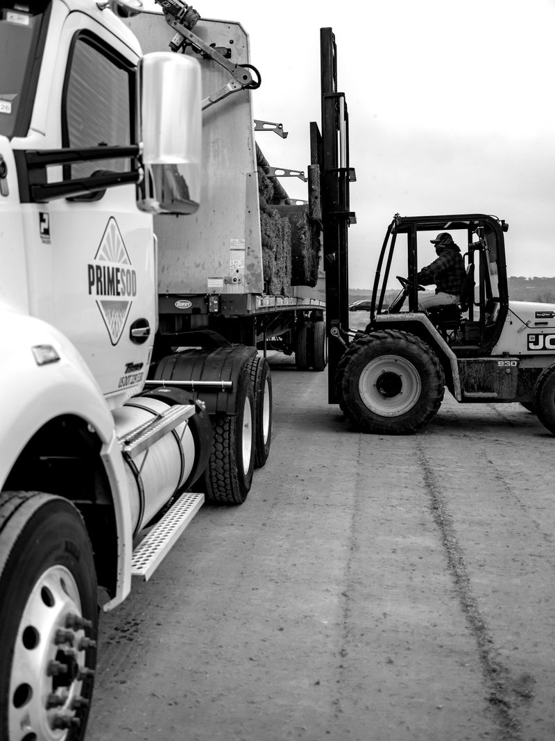 Cargo being loaded onto a truck